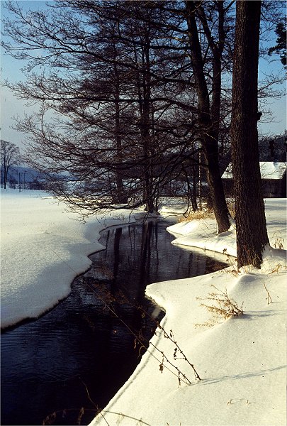 Der ehemalige Mühlgraben der Finkenmühle