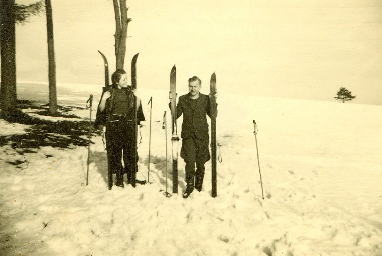 Der Wetterbaum auf dem Galgenberg im Jahr 1950