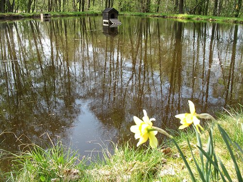 Fischweiher an der Eger im Park des Louis-Röll-Heims