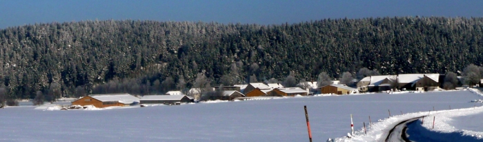 Neudorf zu Weihnachten 2010
