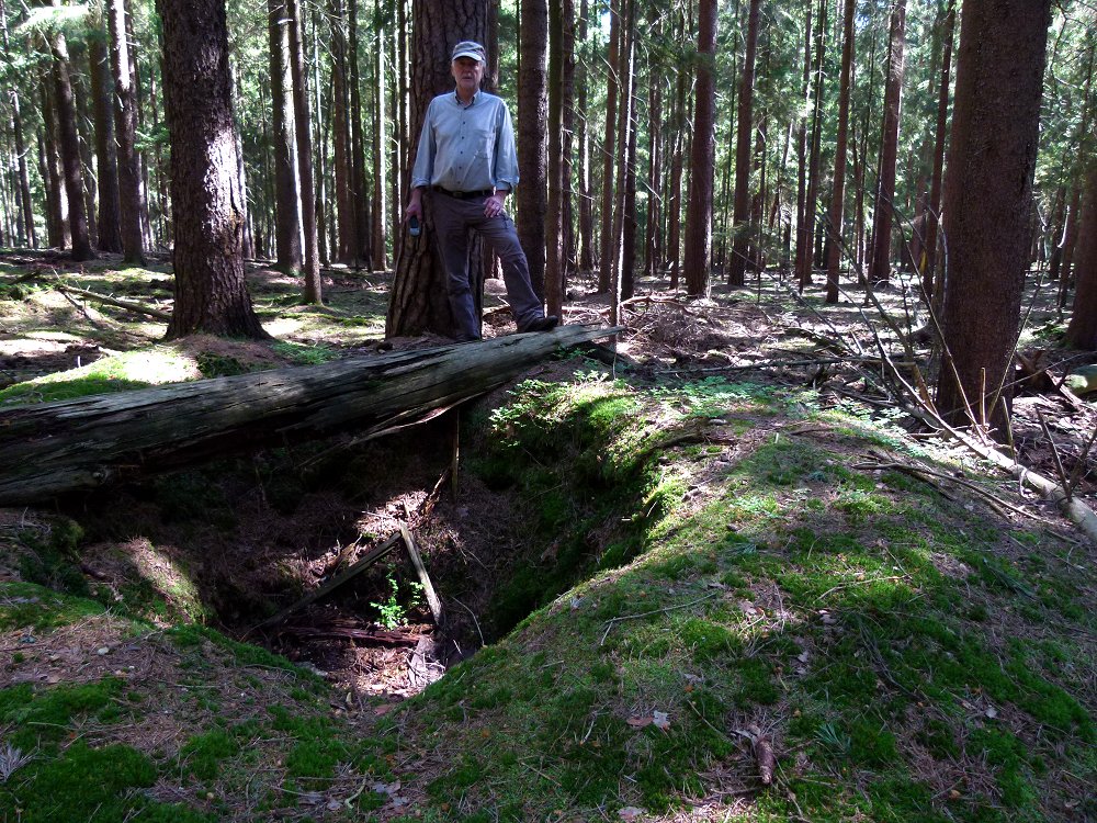 Hgelgrab auf dem Khberg bei Marktleuthen im Fichtelgebirge