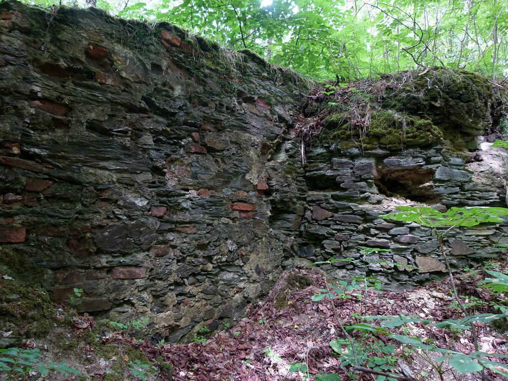 Kirchenruine St. Anna bei Eger (Cheb)