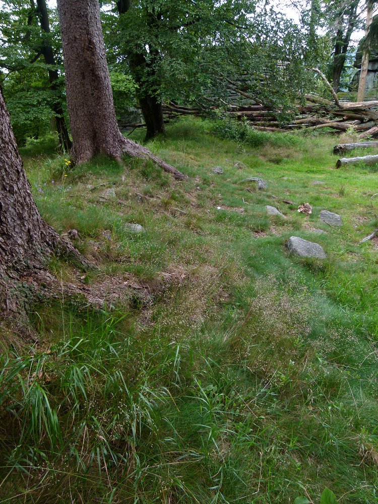 Grundmauern der Burg Rudolfstein im Fichtelgebirge