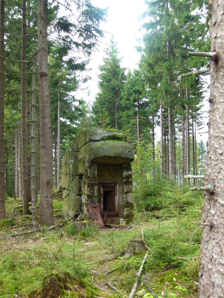 Felsformation zwischen Rudolfstein und Schneeberg im Fichtelgebirge