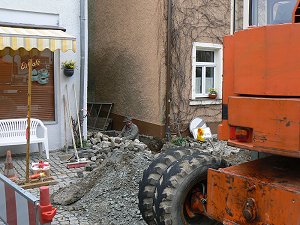 Breitblttriges Knabenkraut