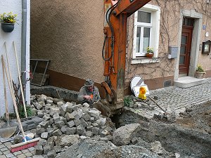 Breitblttriges Knabenkraut