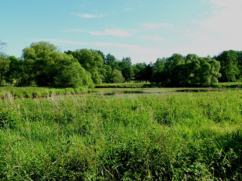 Naturschutzgebiet Rathsam an der Eger